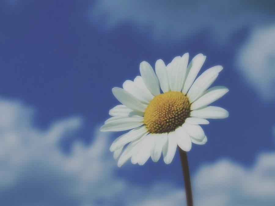 Amazon delivery van speeding through suburban street with 1-hour sticker
